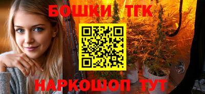 мдпв Вышний Волочёк