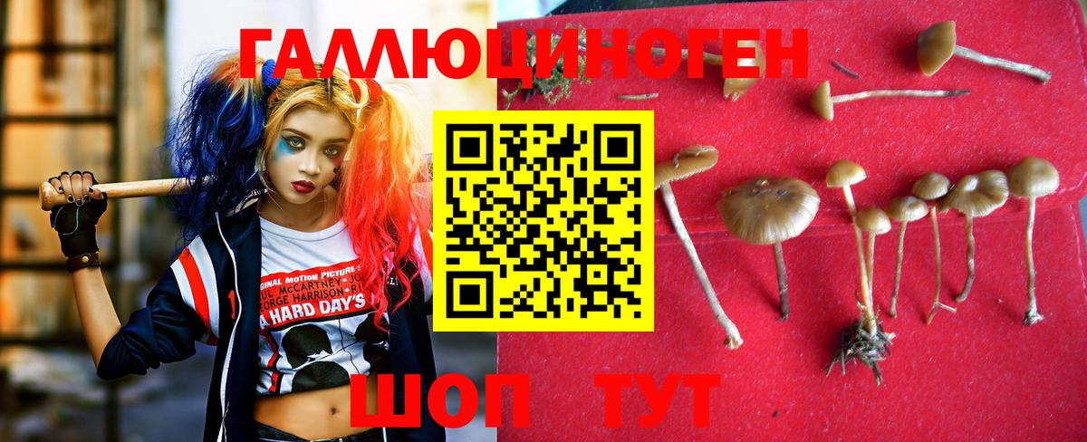 Псилоцибиновые грибы прущие грибы Симферополь