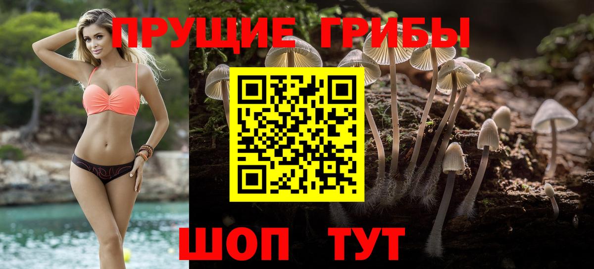 где купить   Галлюциногенные грибы мухоморы  Псилоцибиновые грибы GOLDEN TEACHER  Вход с VPN  Симферополь 