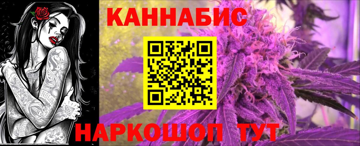 Марихуана планчик  Канабис тримм  Канабис White Widow  Симферополь  Вход с VPN 